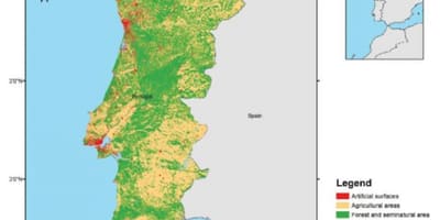 Карта Португалии леса